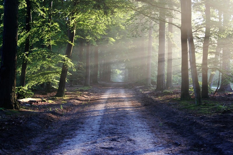 Enigmatic Trails